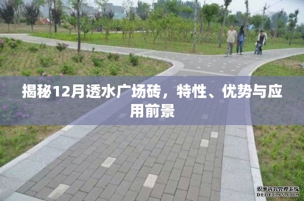 揭秘，12月透水广场砖特性、优势及广阔应用前景