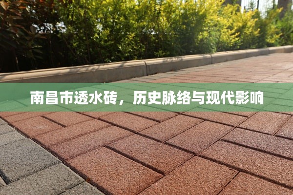 翰飞戾天 第3页