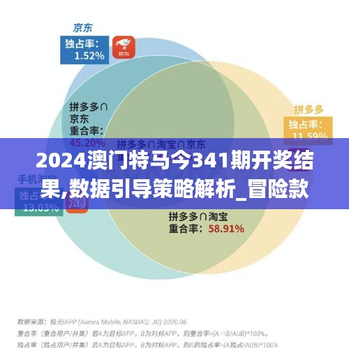 2024澳门特马今341期开奖结果,数据引导策略解析_冒险款8.557