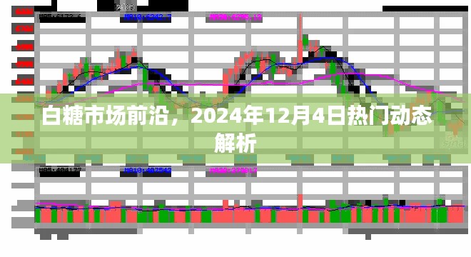 白糖市场前沿动态解析，2024年12月4日热门趋势展望