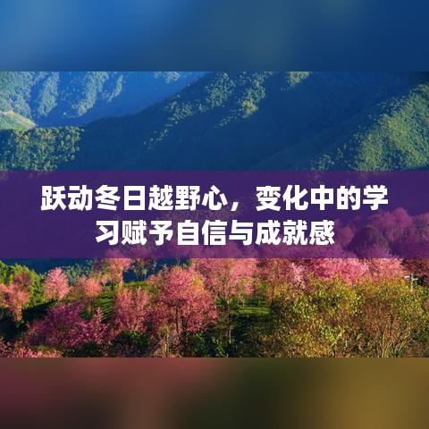 料事如神 第3页