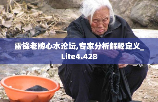 雷锋老牌心水论坛,专家分析解释定义_Lite4.428