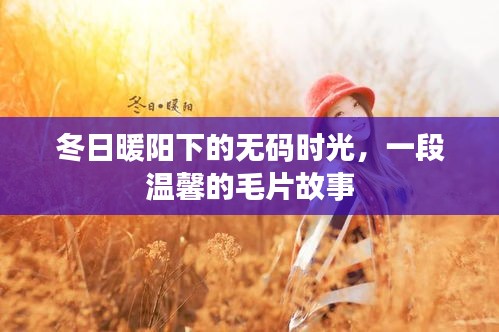 关于我们 第382页