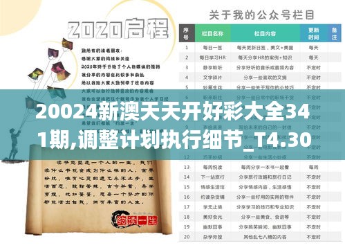 20024新澳天天开好彩大全341期,调整计划执行细节_T4.307