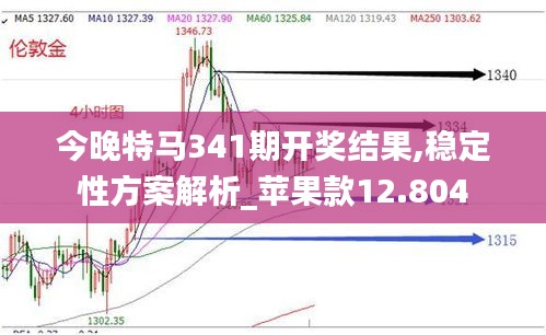 今晚特马341期开奖结果,稳定性方案解析_苹果款12.804