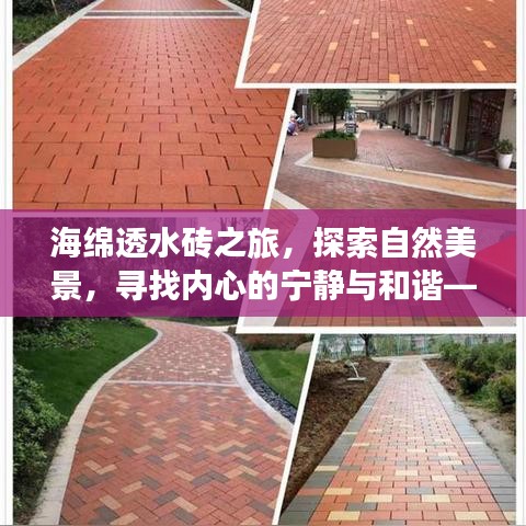 海绵透水砖之旅，探寻自然美景，心灵宁静与和谐——揭秘12月海绵透水砖价格揭秘之旅