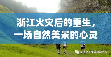 产品中心 第359页