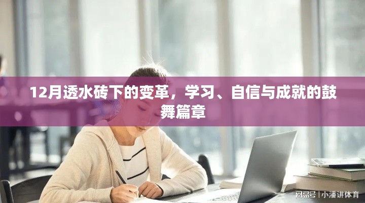 窗明几净 第3页