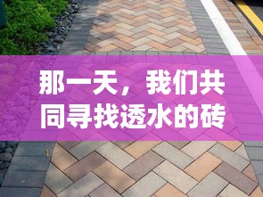 那一天，共同探寻透水砖块之旅
