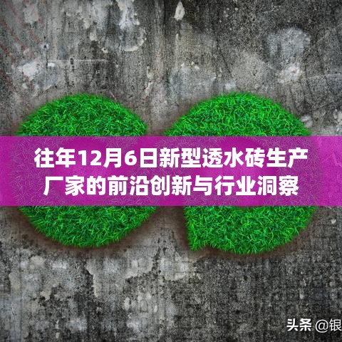 自作主张 第2页
