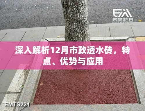 比张比李 第2页