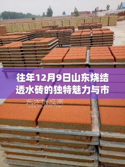 山东烧结透水砖的独特魅力与市场洞察解析