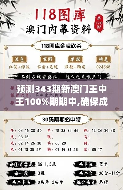 新澳中心 第230页