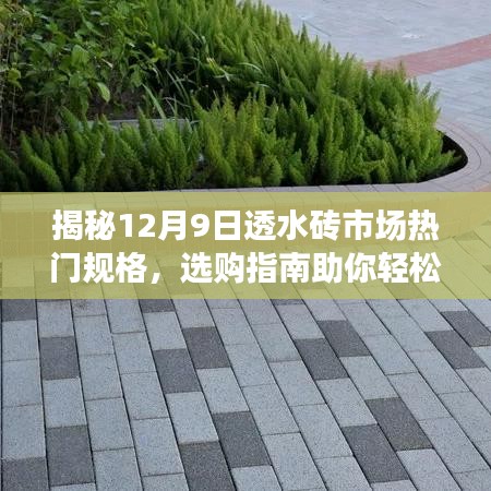 精耕细作 第3页