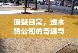 温馨日常，透水砖公司的奇遇与家的温馨时光