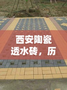 量入为出 第3页