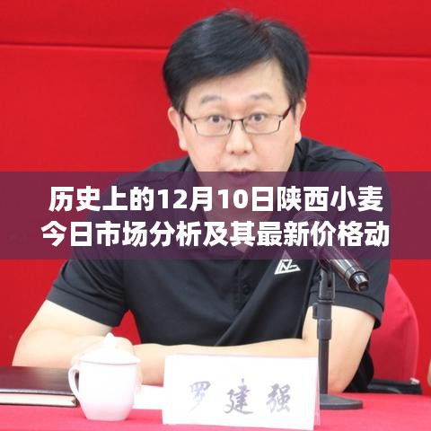关于我们 第354页