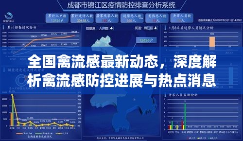 全国禽流感最新动态，防控进展与热点消息深度解析