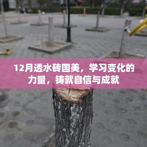 一毫不苟 第3页