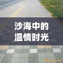 百鸟争鸣 第3页