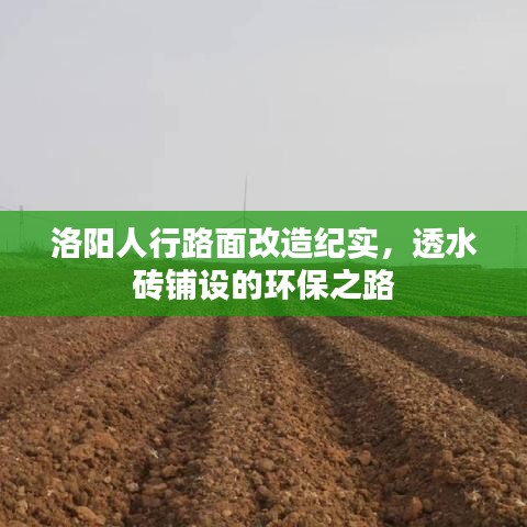 披肝沥胆 第3页