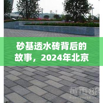 漫天飞舞 第3页