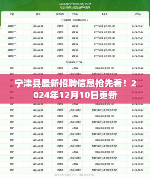 宁津县最新招聘信息速递，2024年12月岗位更新抢先看！