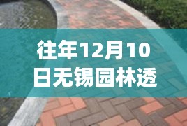 往年12月10日无锡园林透水砖市场概览，产品特性、用户体验与市场洞察