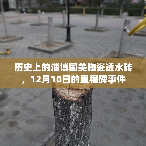亭亭玉立 第2页