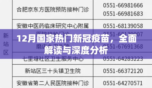 热门新冠疫苗解读与深度分析，全面探讨十二月国家疫苗进展