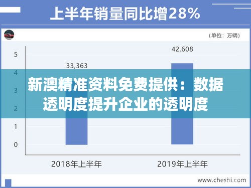 新澳精准资料免费提供：数据透明度提升企业的透明度