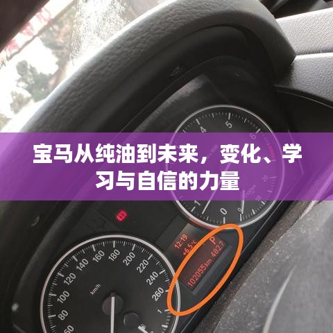 环肥燕瘦 第2页