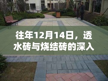 鸟啼花怨 第2页