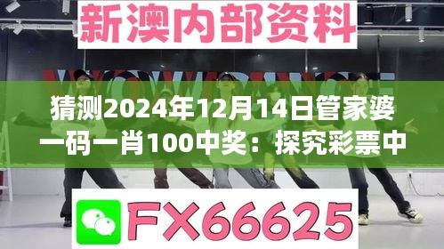 猜测2024年12月14日管家婆一码一肖100中奖：探究彩票中奖的秘诀
