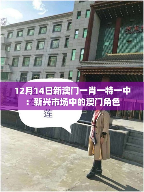 12月14日新澳门一肖一特一中：新兴市场中的澳门角色