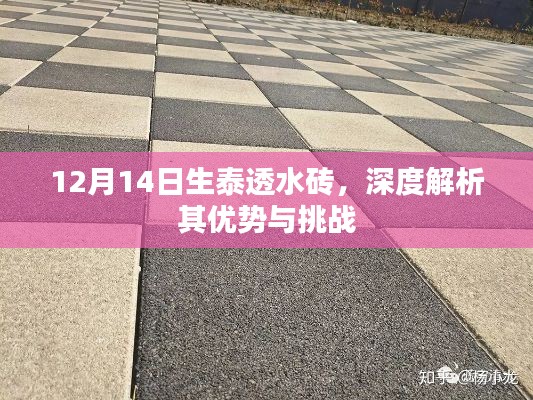 闻所未闻 第3页