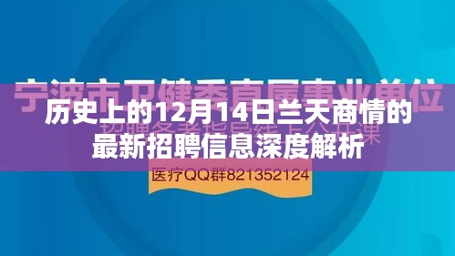 兰天商情的最新招聘信息深度解析，历史视角的12月14日回顾
