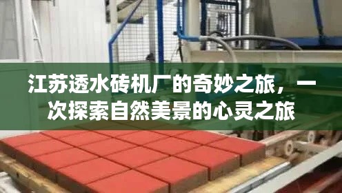 关于我们 第290页