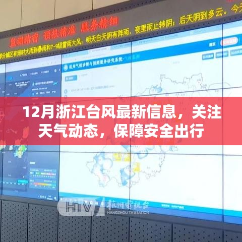 浙江台风最新动态，关注天气变化，保障安全出行