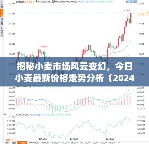 揭秘小麦市场风云变幻，最新价格走势分析（今日，小麦市场观察报告）