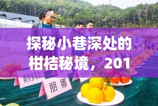 第1155页