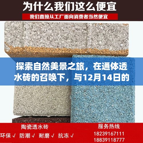 产品中心 第287页