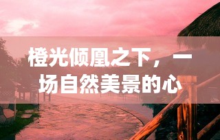 森久 第3页