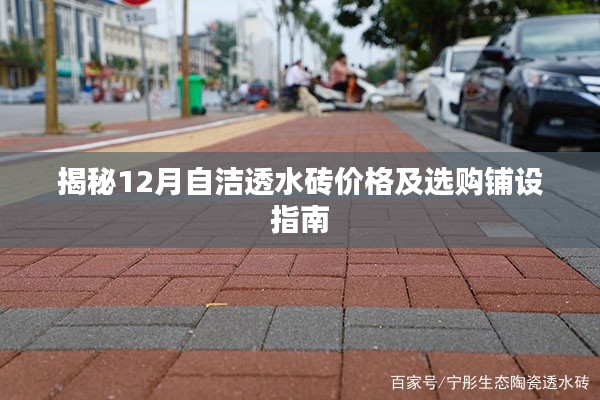 揭秘，12月自洁透水砖价格及选购铺设全攻略