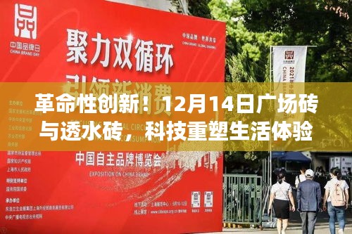 繁鸟萃棘 第2页