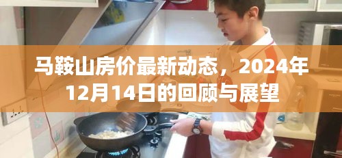 马鞍山房价最新动态，回顾与展望（2024年12月14日）