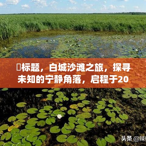 产品中心 第266页