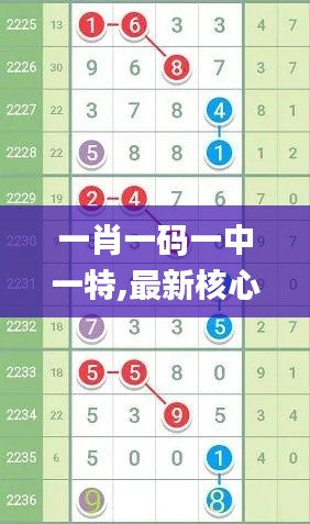 一肖一码一中一特,最新核心解答落实_S8.439