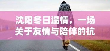 沈阳冬日温情，抗疫路上的友情与陪伴之旅