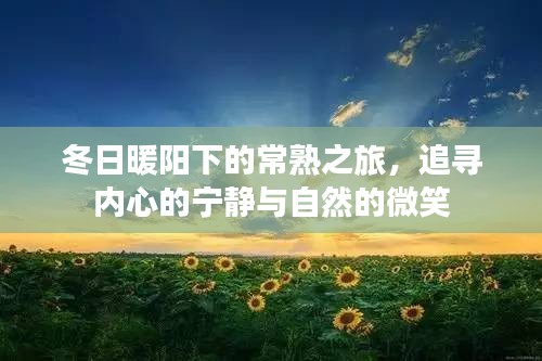 冬日暖阳下的常熟之旅，寻觅内心宁静与自然微笑